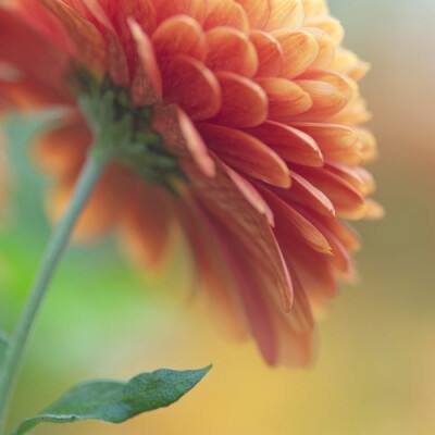 通比牛牛游戏app截图