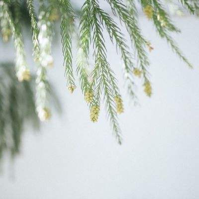 乐鱼平台app下载