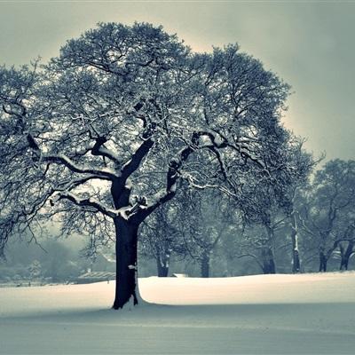 乐鱼平台app下载