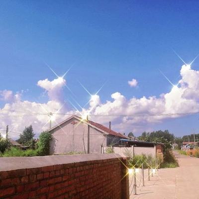 星空体育2024下载app下载